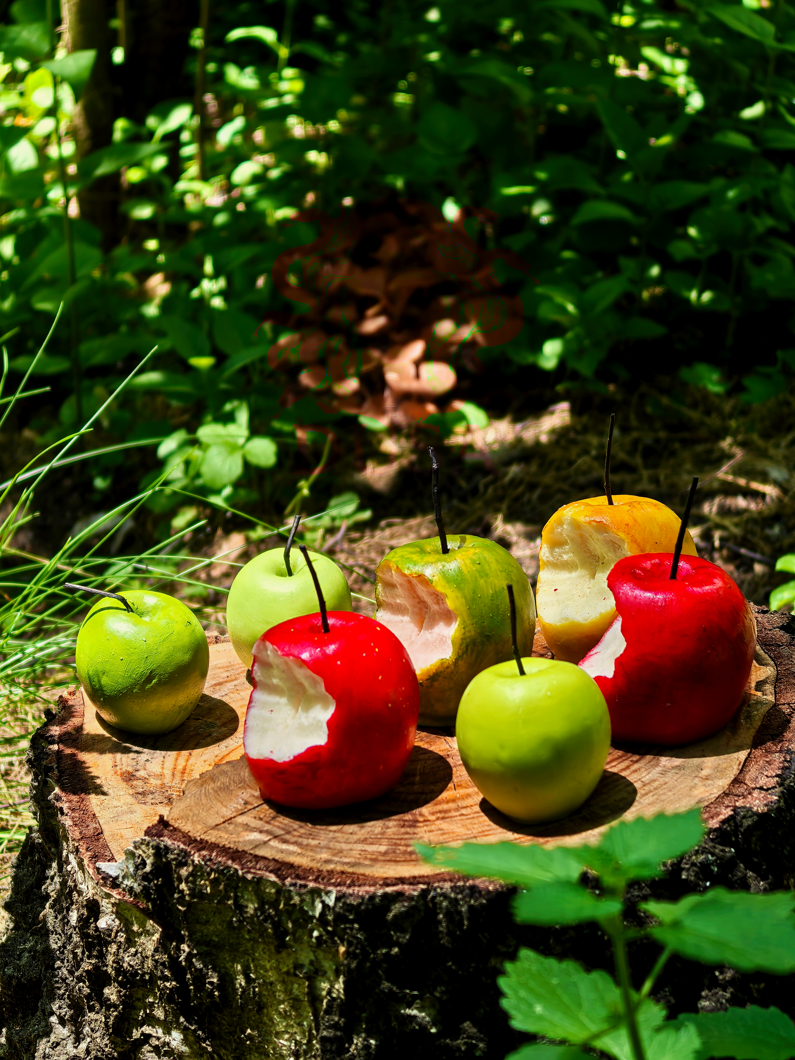 Fruit